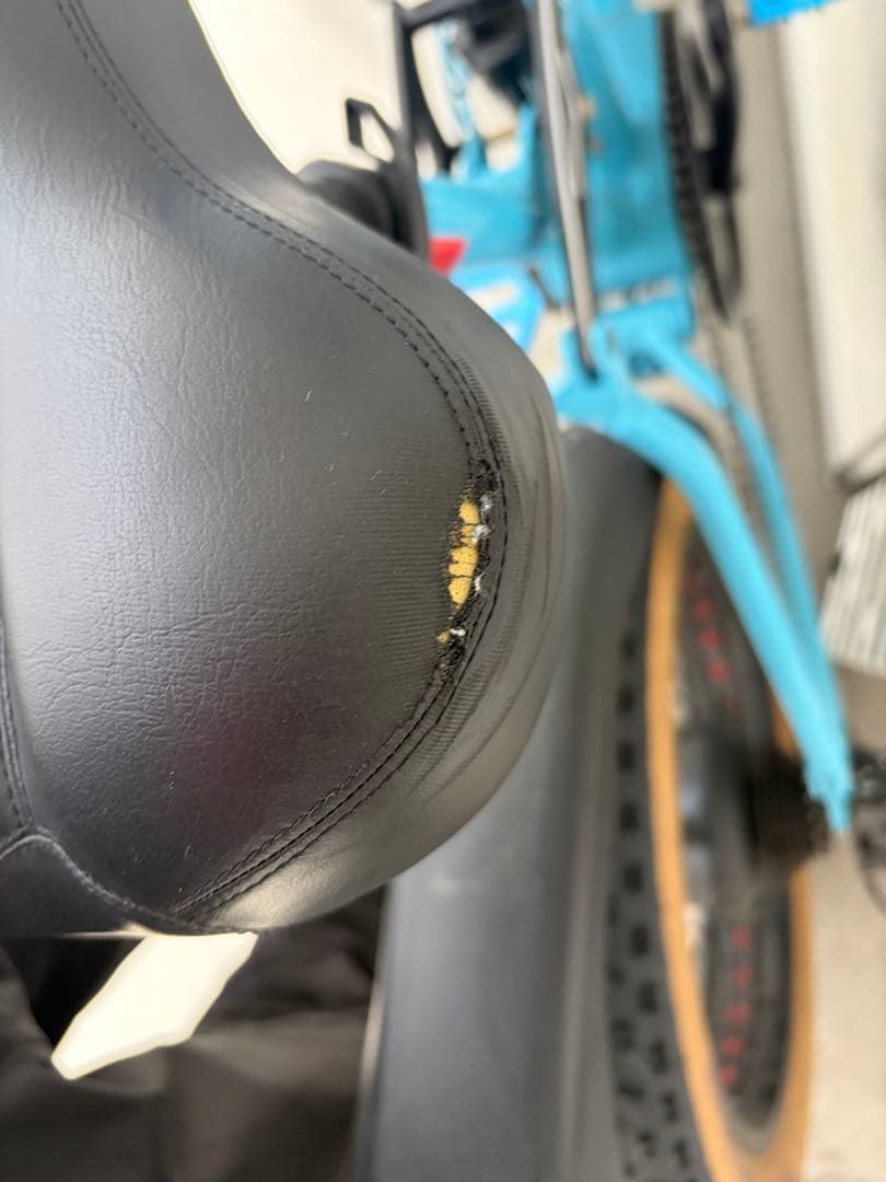 1000W 電動自転車