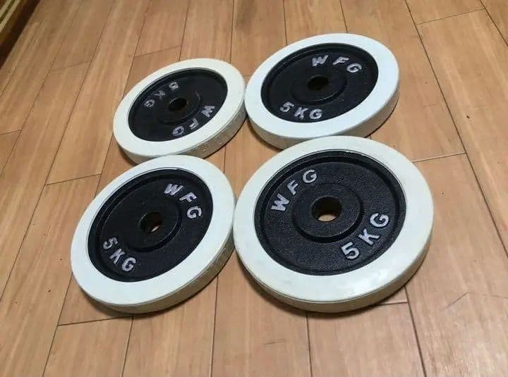WILD FIT ダンベル プレート5kg x 4枚