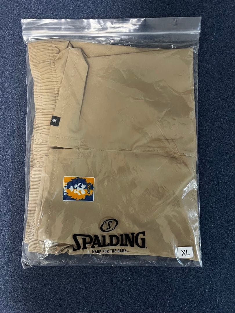 ‼️非売品 日体大LIONS ハーフパンツ　新品未使用