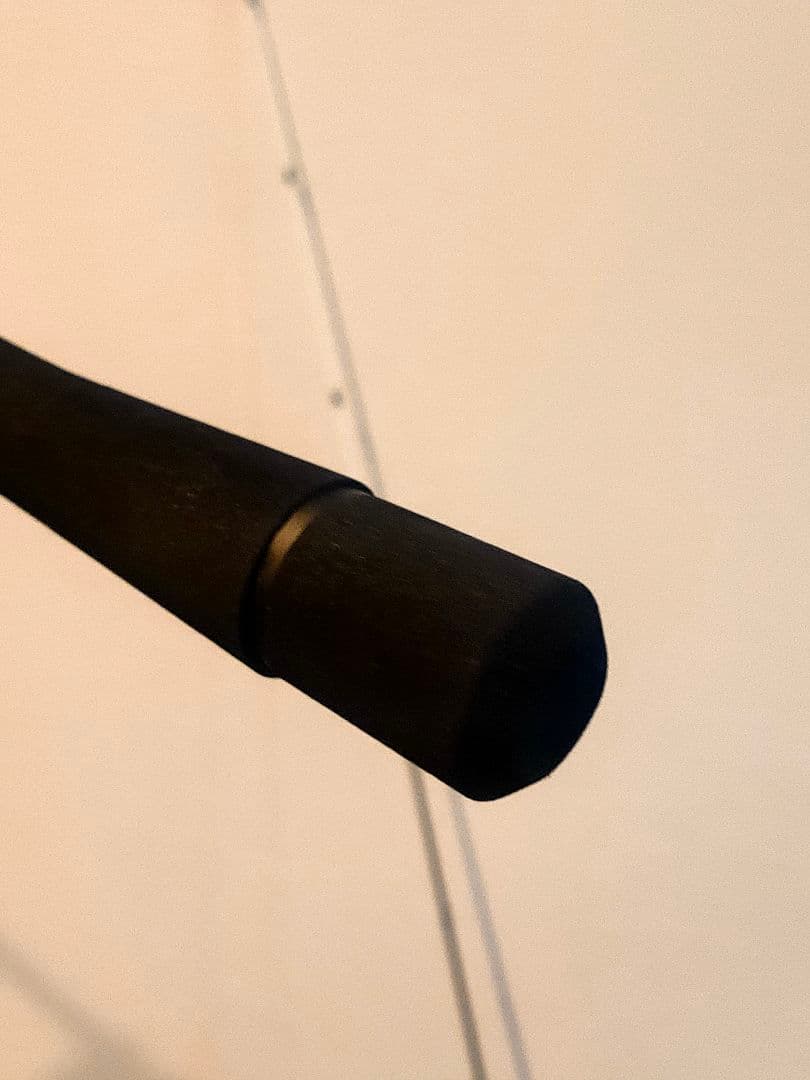 BLACK LION 75M Tip ホワイトバージョン ティップラン TR