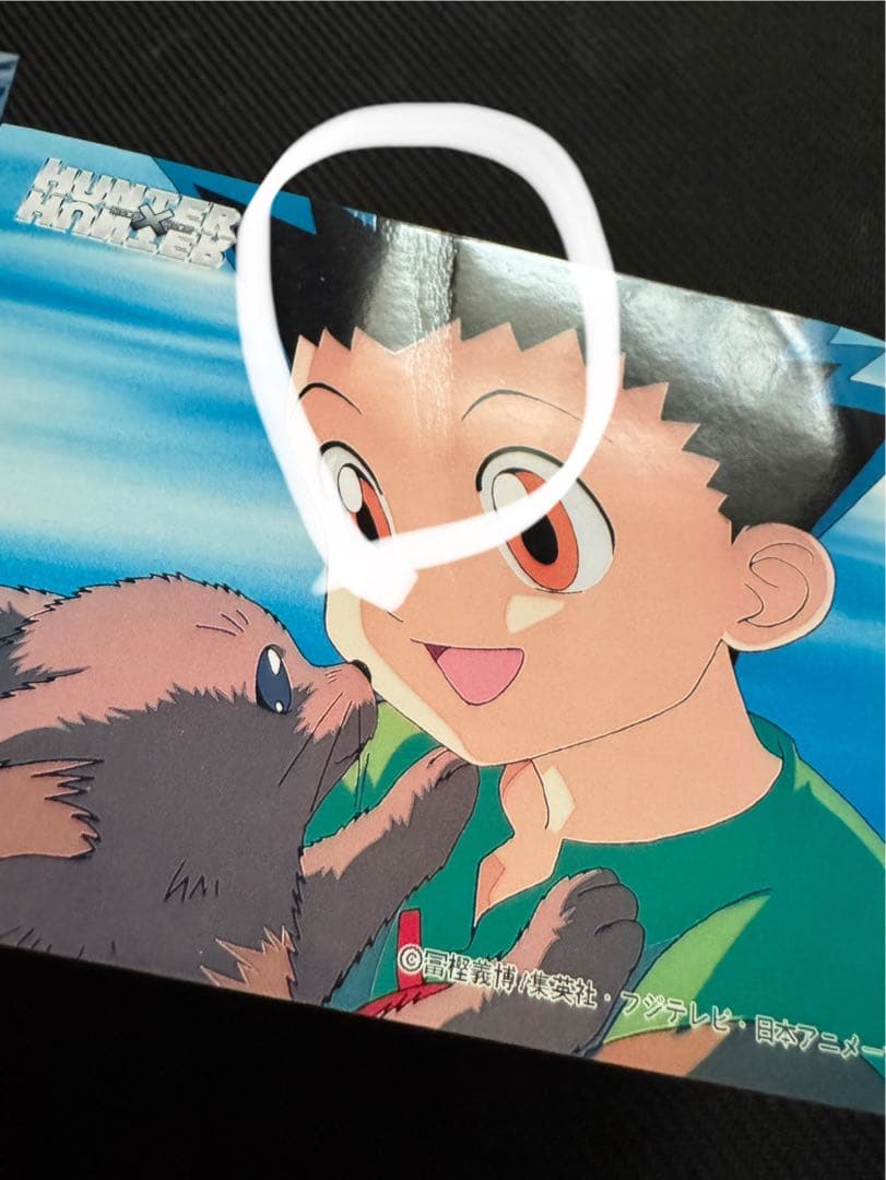 HUNTER×HUNTER 旧アニメ L版ブロマイド ゴン 2枚セット