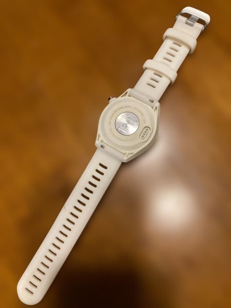 GARMIN ガーミン Approach アプローチ S42 白