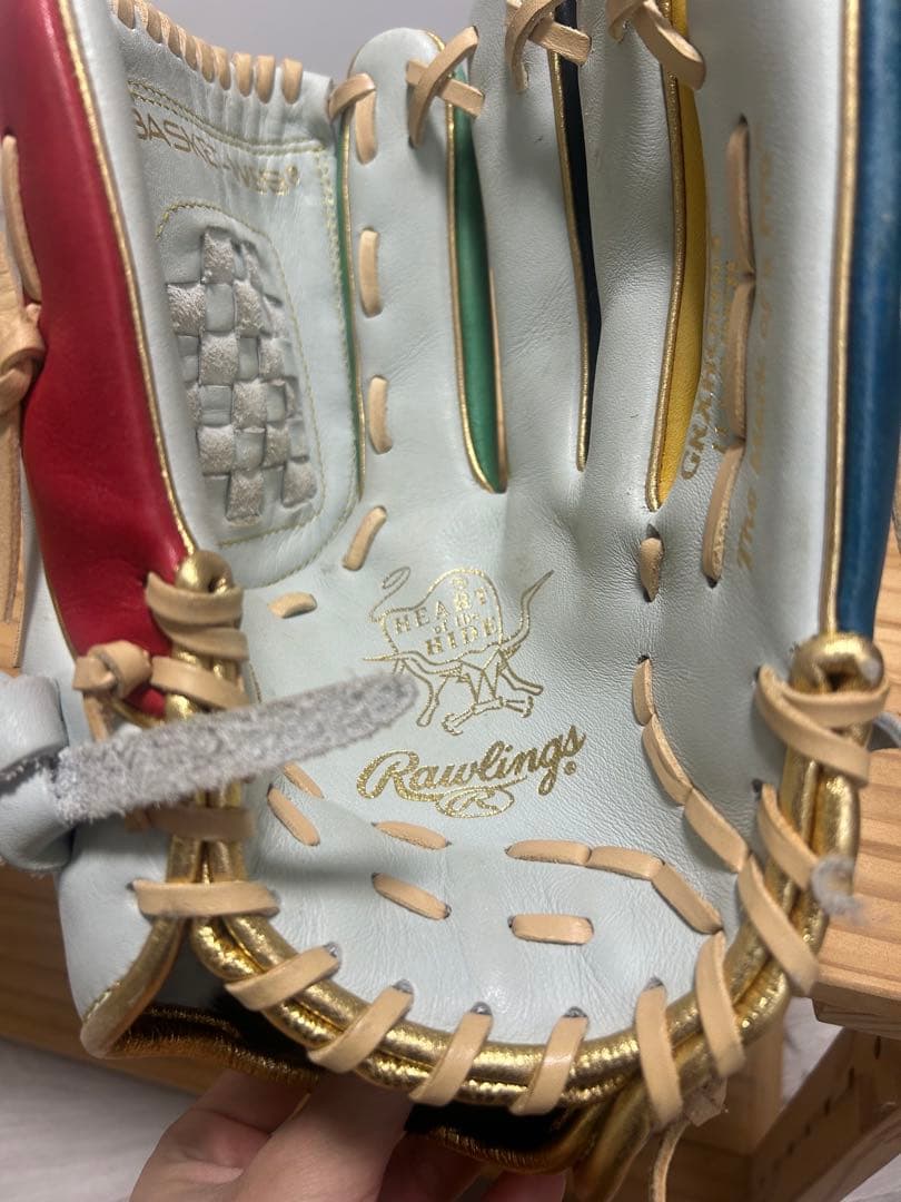 ローリングス軟式グローブ2020限定グローブ