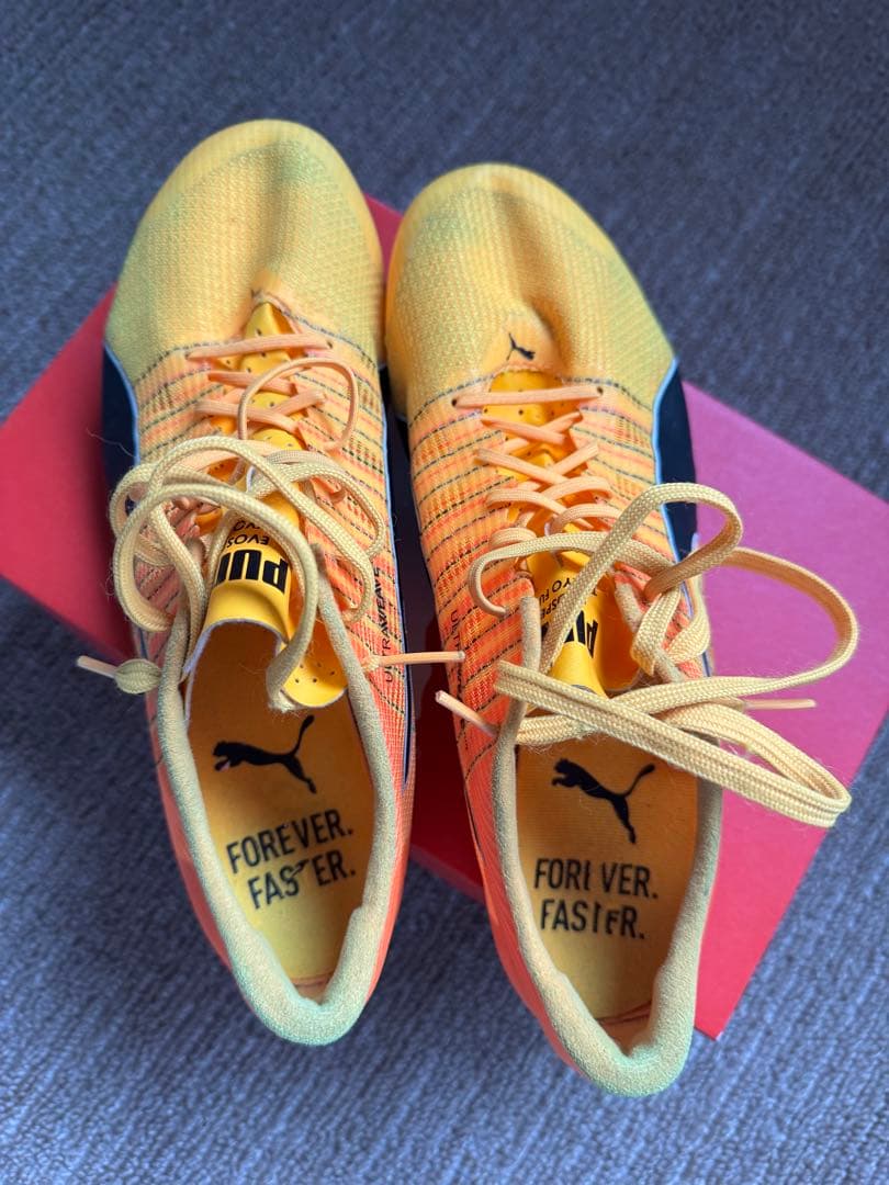 綺麗‼️Puma エヴォスピードフューチャー6 25cm