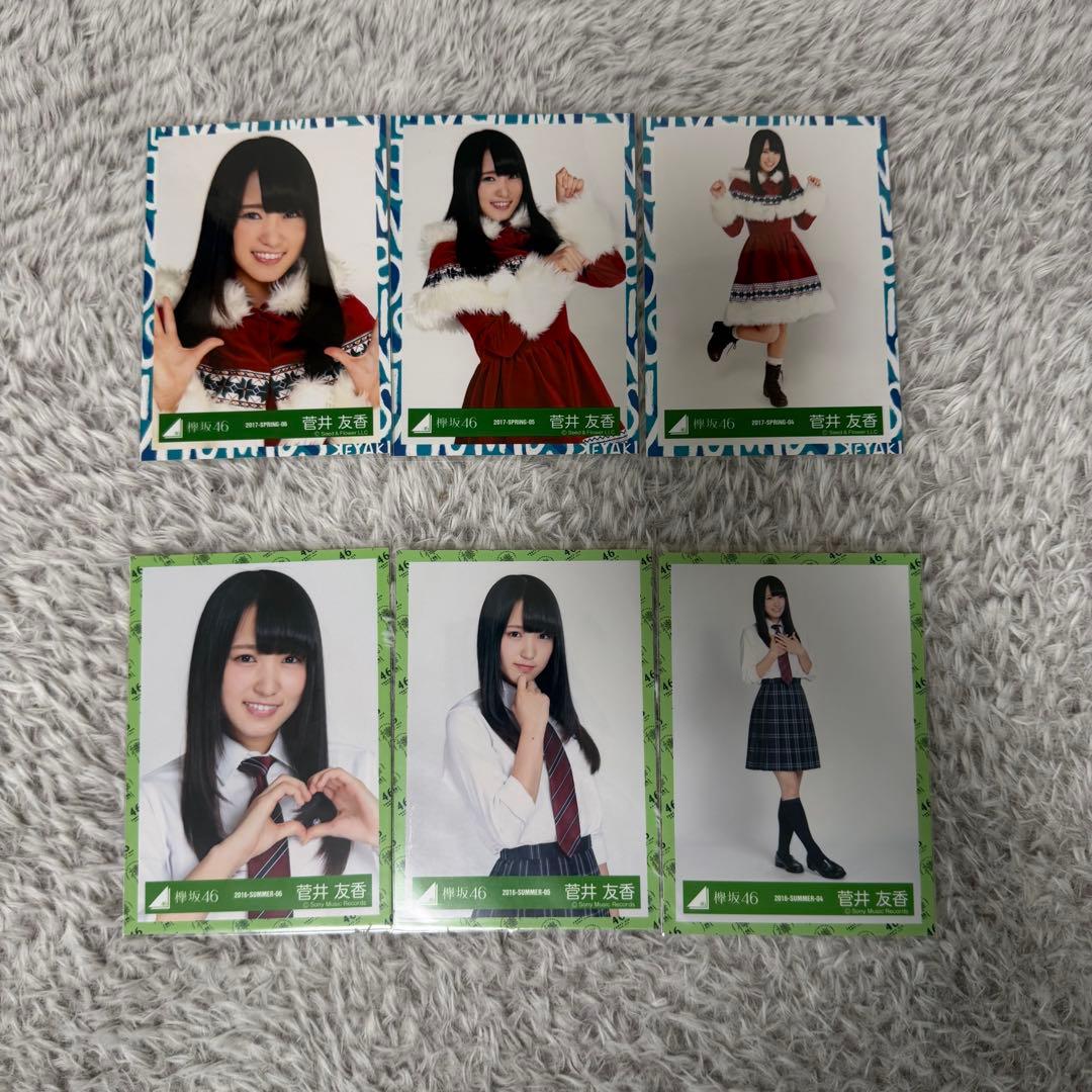 菅井友香 欅坂46 櫻坂46 コンプ