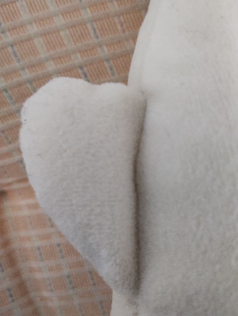 あざらし　まめゴマ　ぬいぐるみ　はむゴマ？　サンエックス　　タグ付き　アザラシ