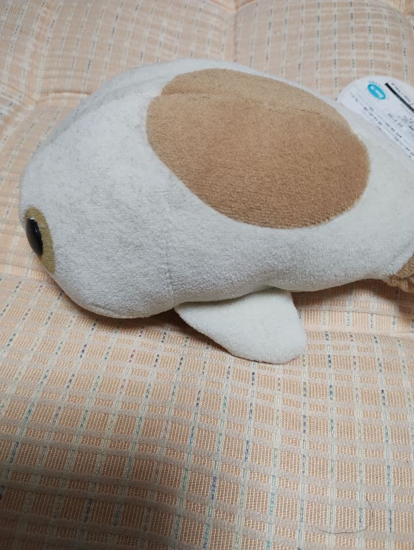 あざらし　まめゴマ　ぬいぐるみ　はむゴマ？　サンエックス　　タグ付き　アザラシ