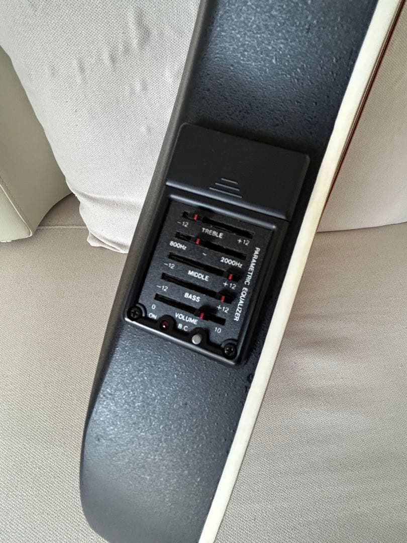 Reed Man RMA-09 アコースティックギター