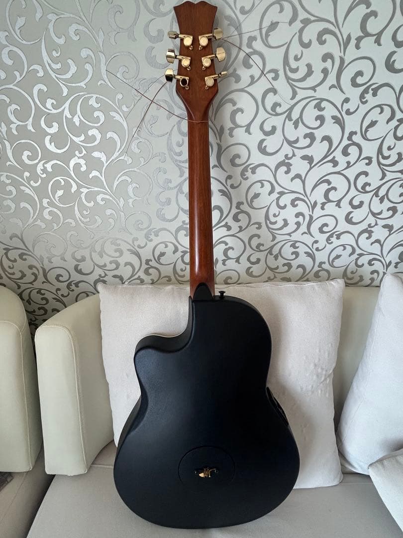 Reed Man RMA-09 アコースティックギター