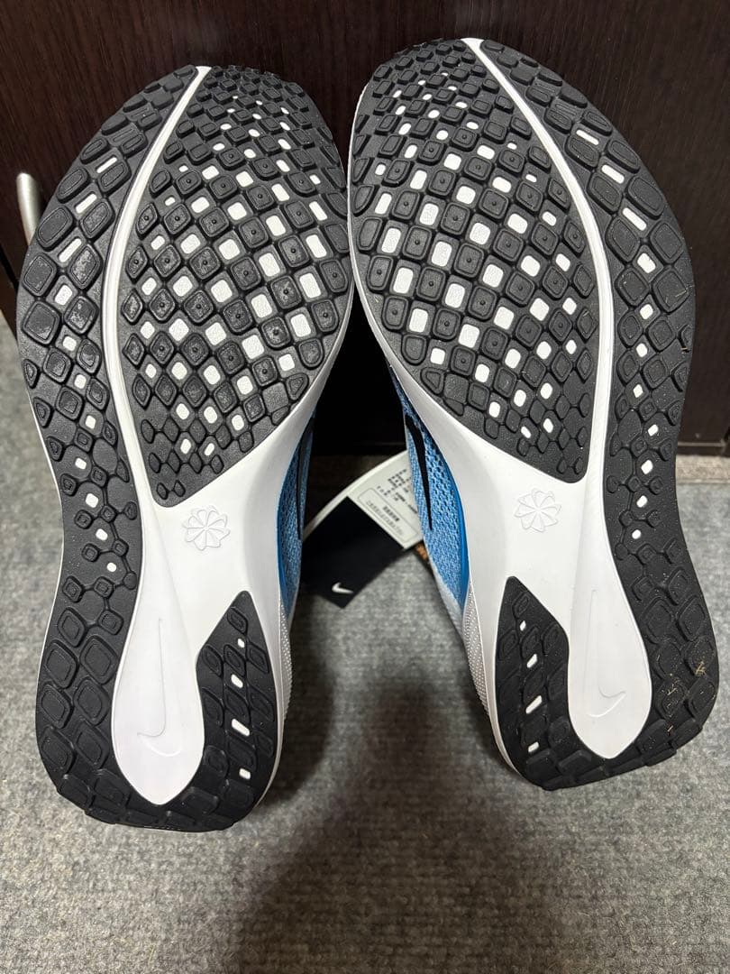 NIKE Pegasus 41 27㎝