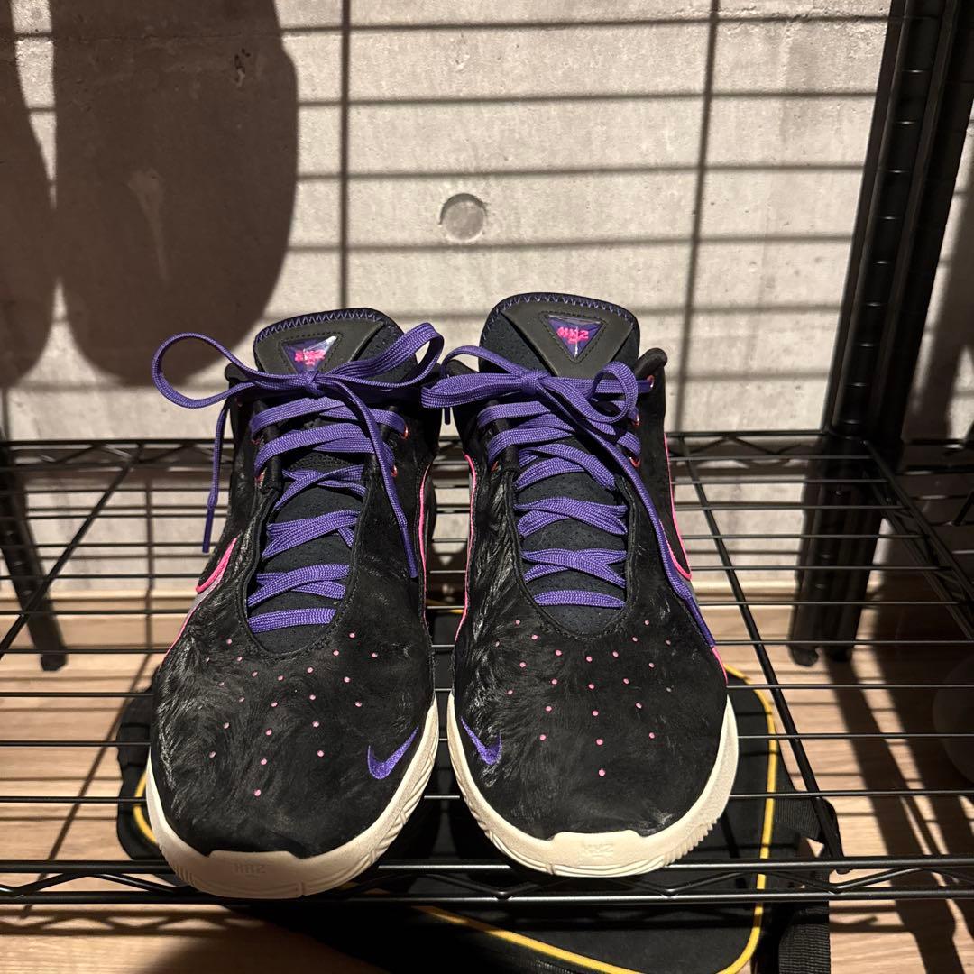 希望価格提示要　N NIKE lebron 22
