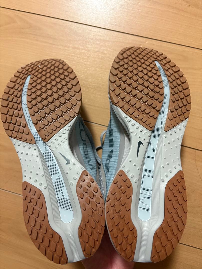 【美品】Nike ナイキ　ペガサス　プレミアム　25cm