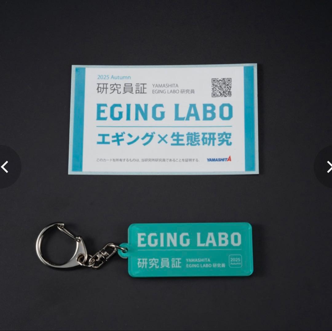 限定エギ王3号LABOポラマジ虹ポラマジメジナ