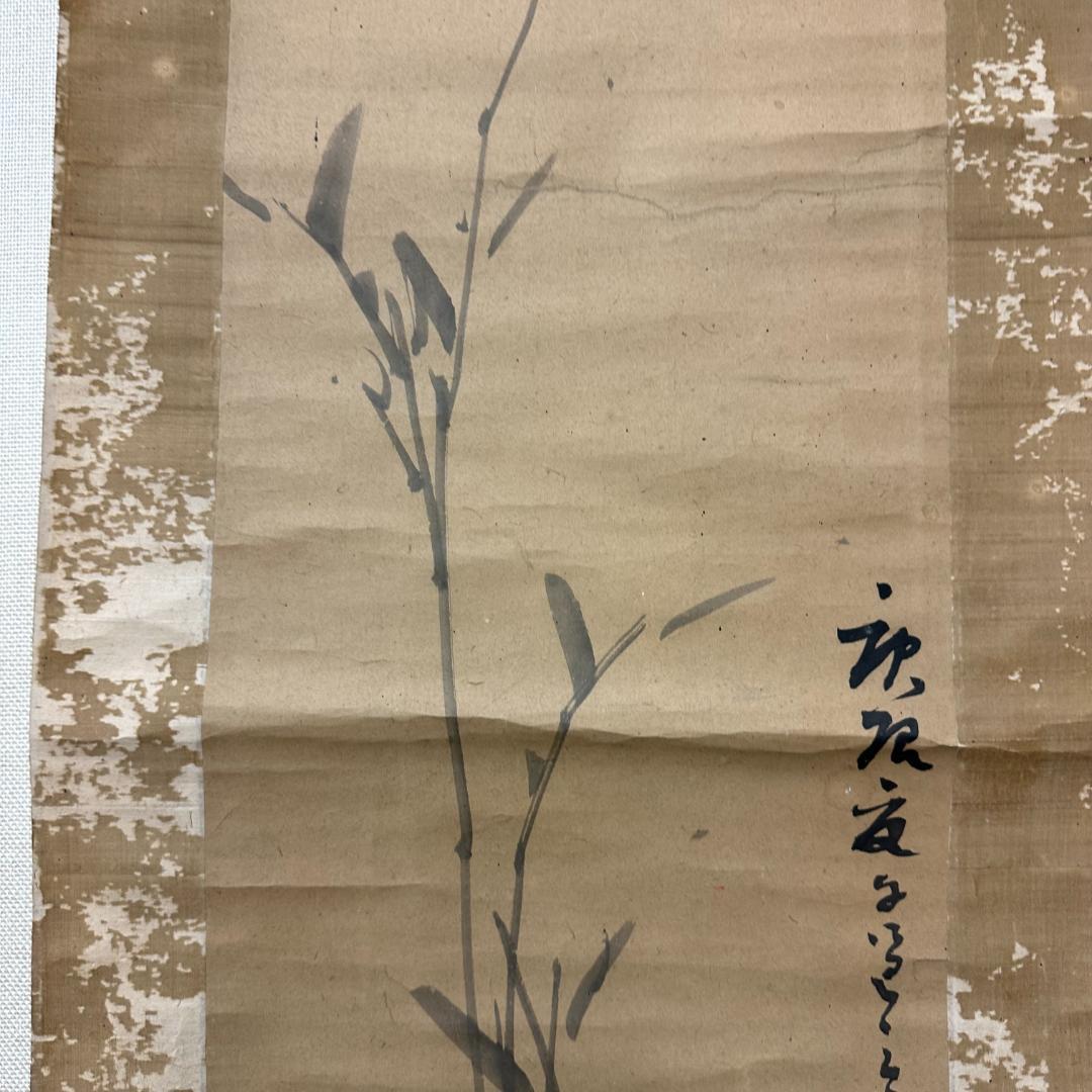 掛軸　署名落款/裏に肉筆あり　草　竹　昭和レトロ　大正ロマン　弘道