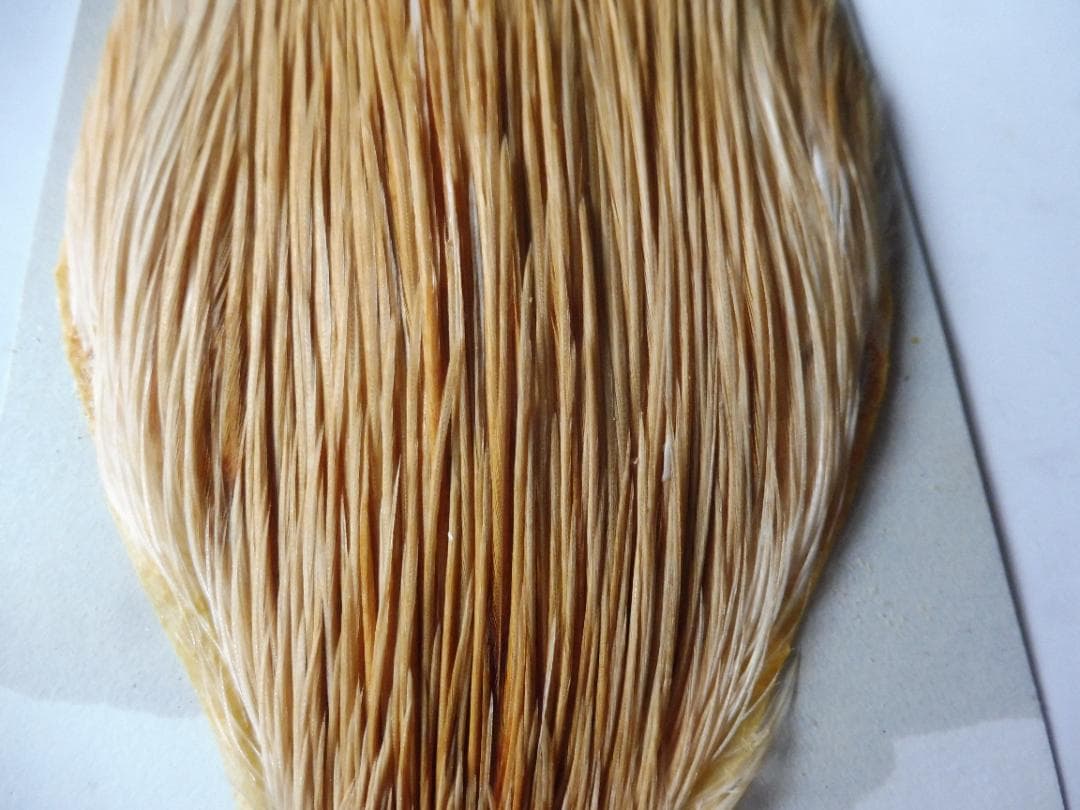 メッツ METZ コックハックルケープ LT.GINGER #2