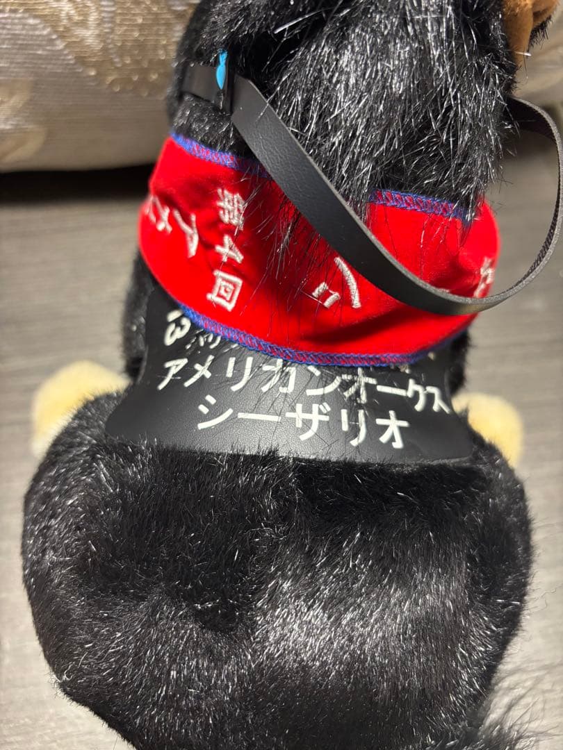 アメリカンシーザリオン新品