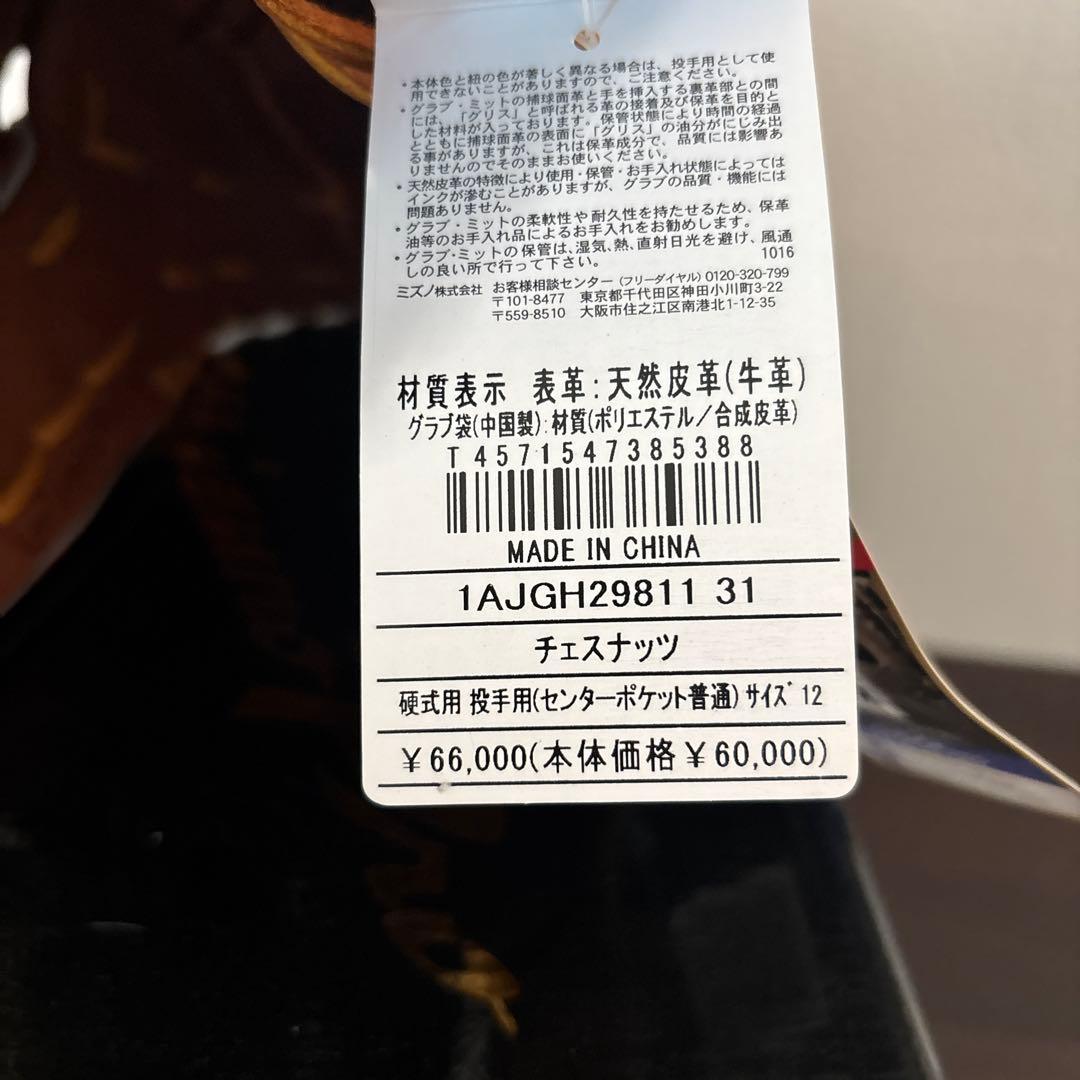 Mizuno Pro 硬式グローブ ブラウン