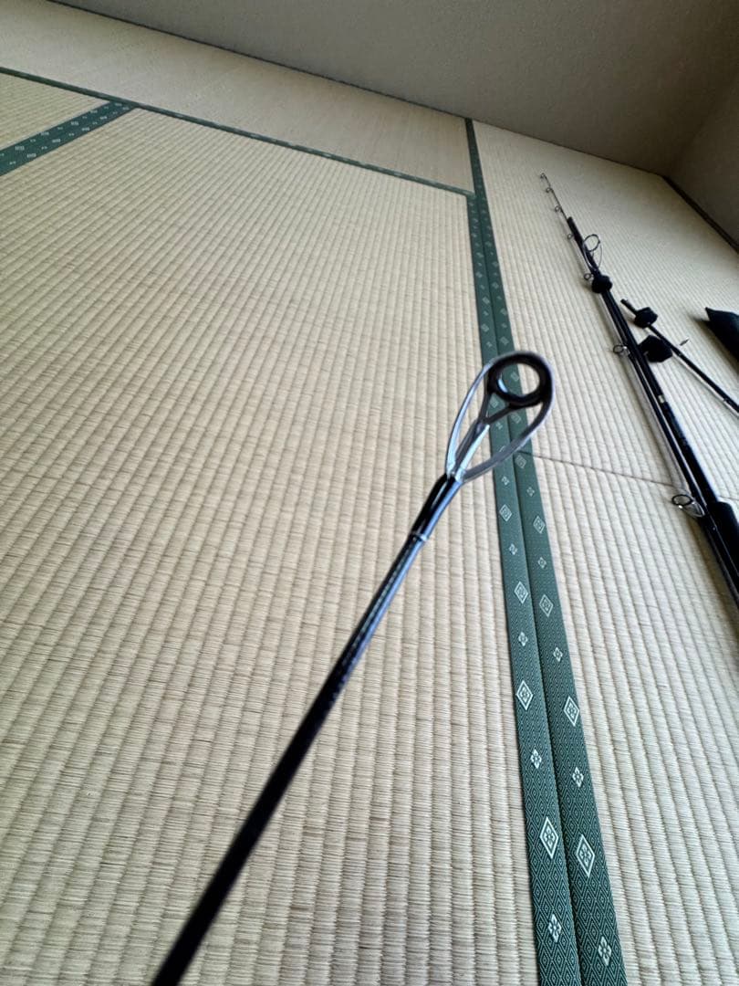 Daiwa ラブラックス AGS 96M シーバスロッド