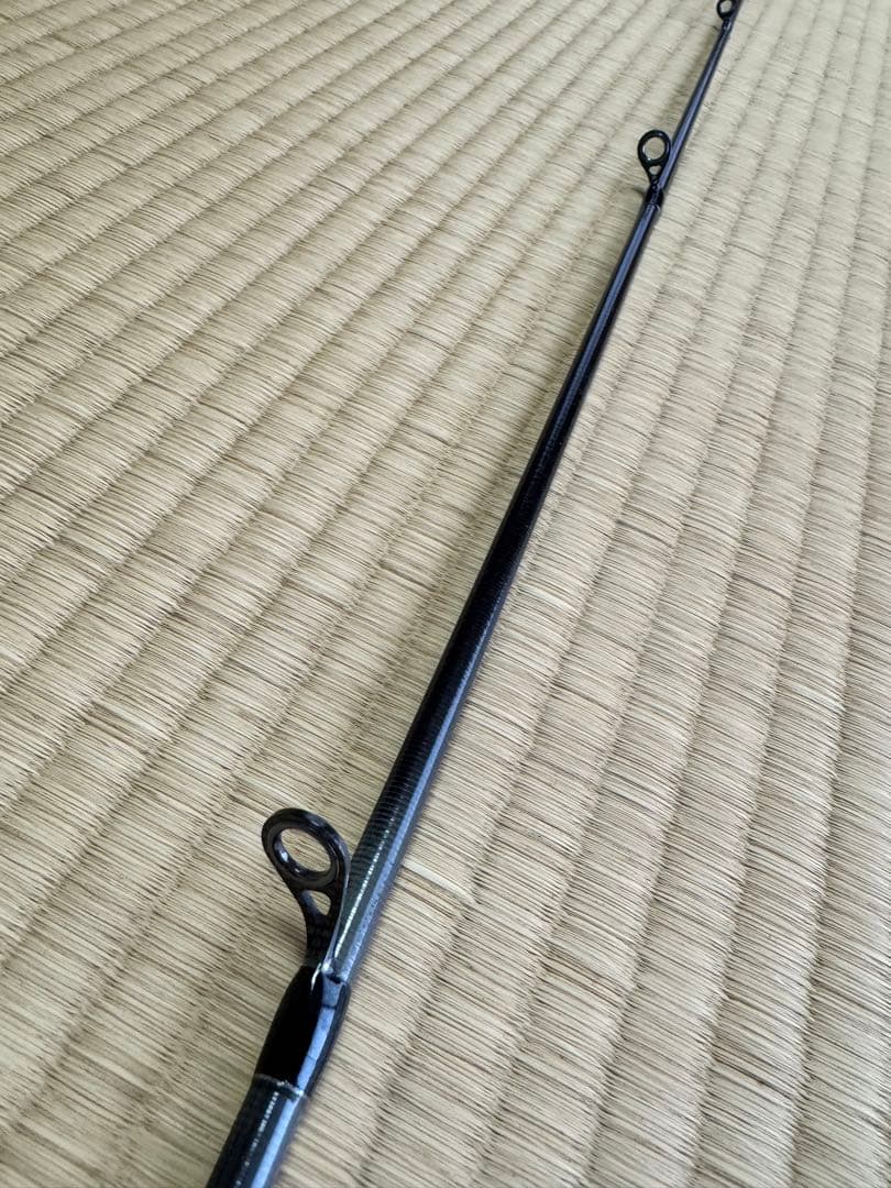 Daiwa ラブラックス AGS 96M シーバスロッド