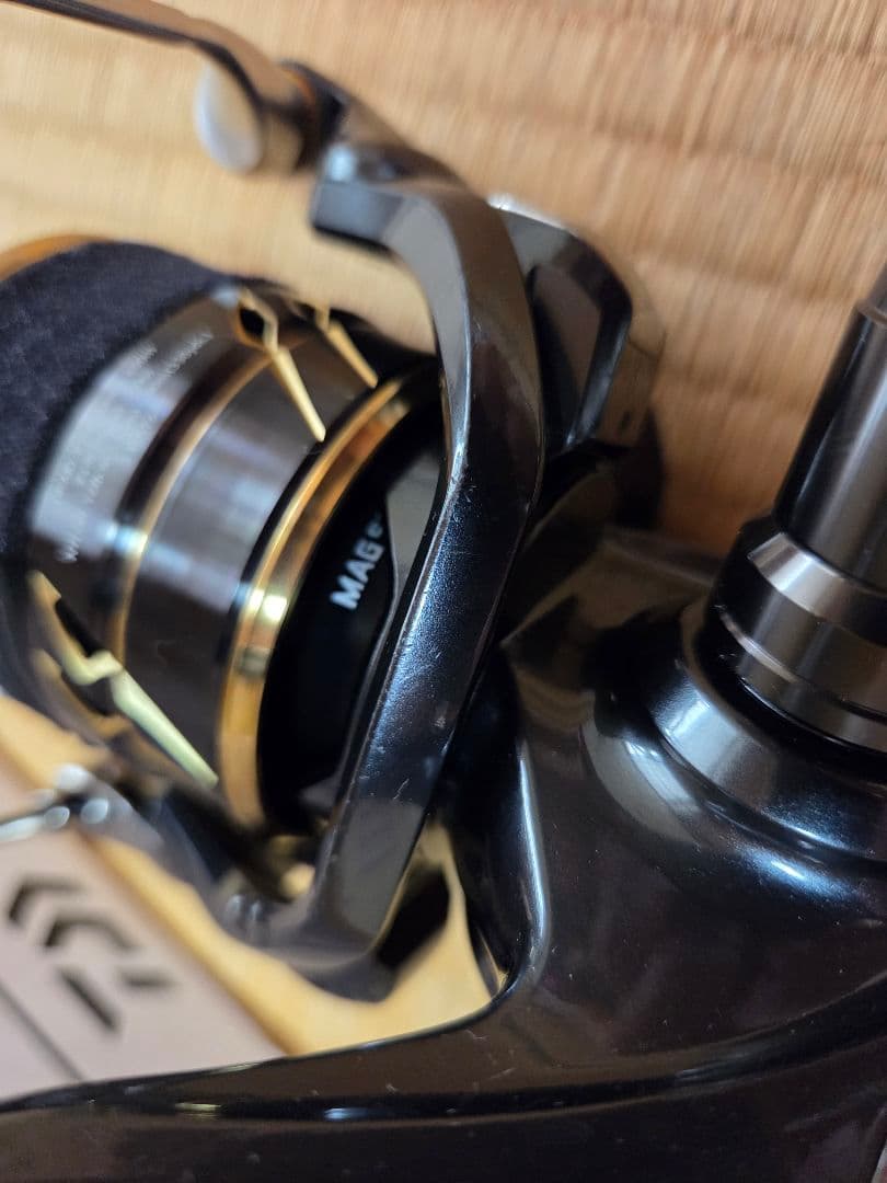 リール DAIWA CALDIA SW 8000-H