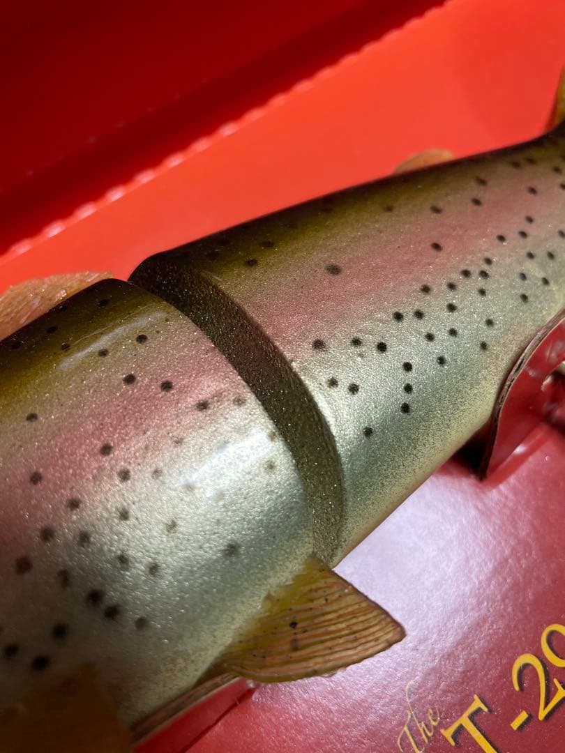 キャスティーク　ウッドトラウト