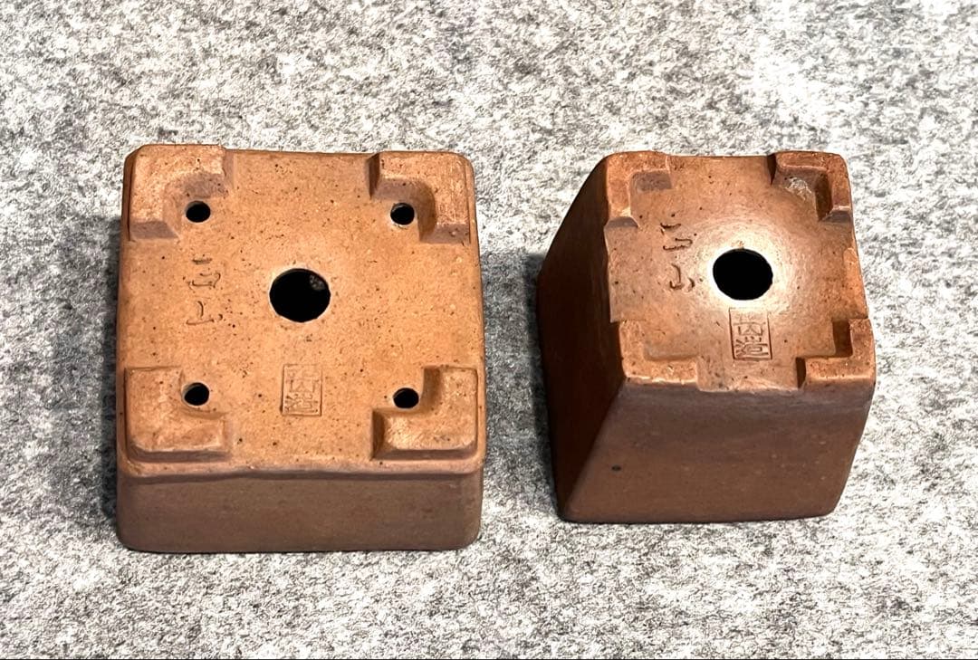 盆栽　ミニ鉢　正山造