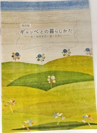 値下げ可能ミニギャベ●32×37㎝●手織●本物●新品未使用 遊牧民が紡ぐギャッベ
