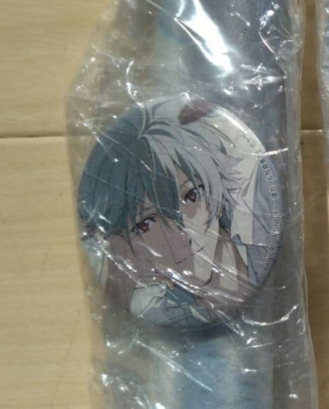 渚カヲル 写真集 特典 缶バッジ ゲーマーズ
