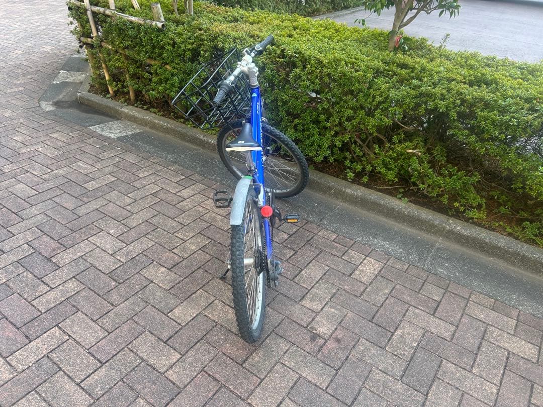 LOUIS GARNEAU LGS J24 ルイガノ マウンテンバイク　ブルー