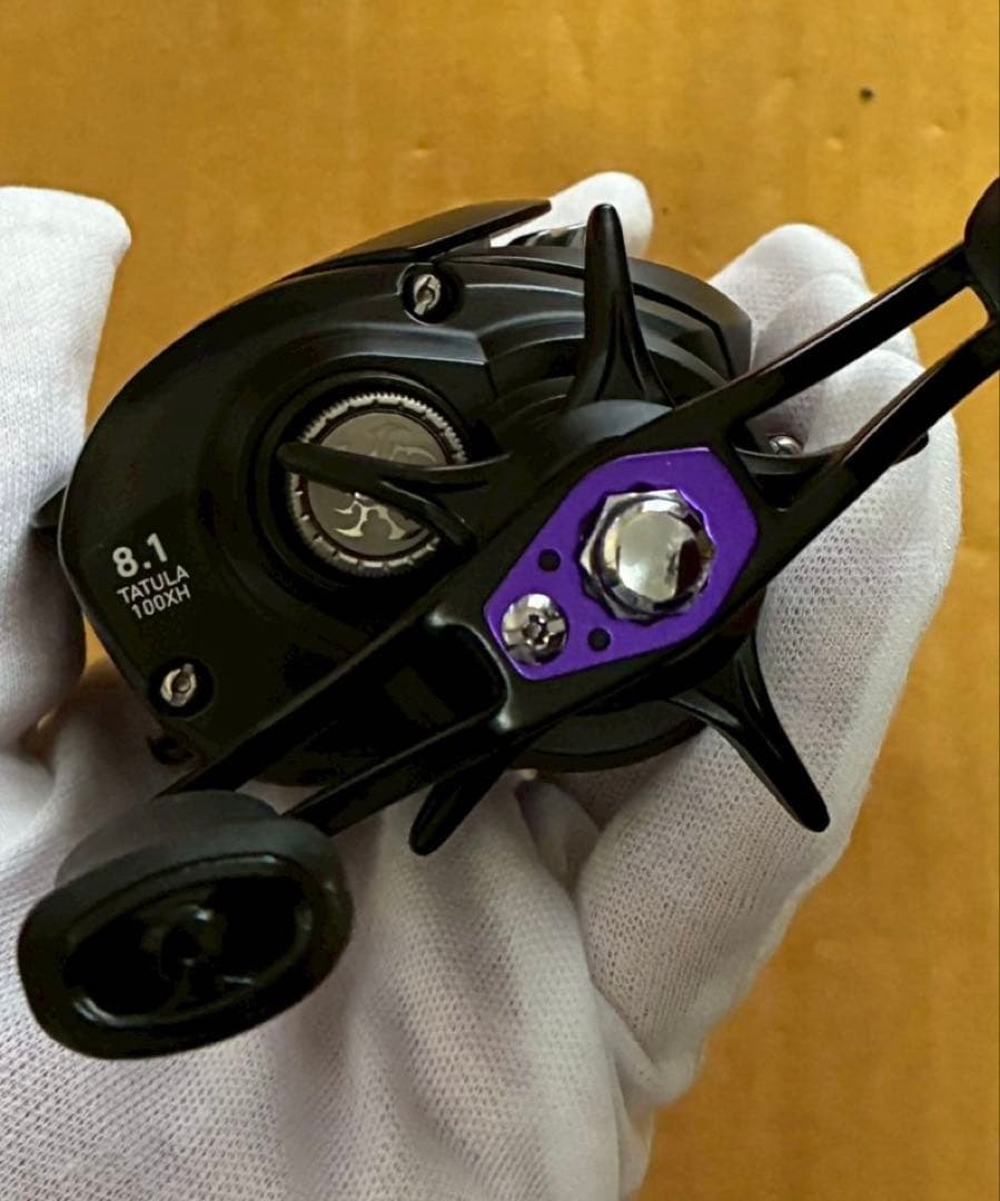 どなたでも!すぐ発送★ダイワ19タトゥーラ TW 100XH ベイトTATULA