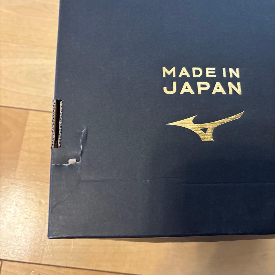 モレリアIIJAPAN 25.0
