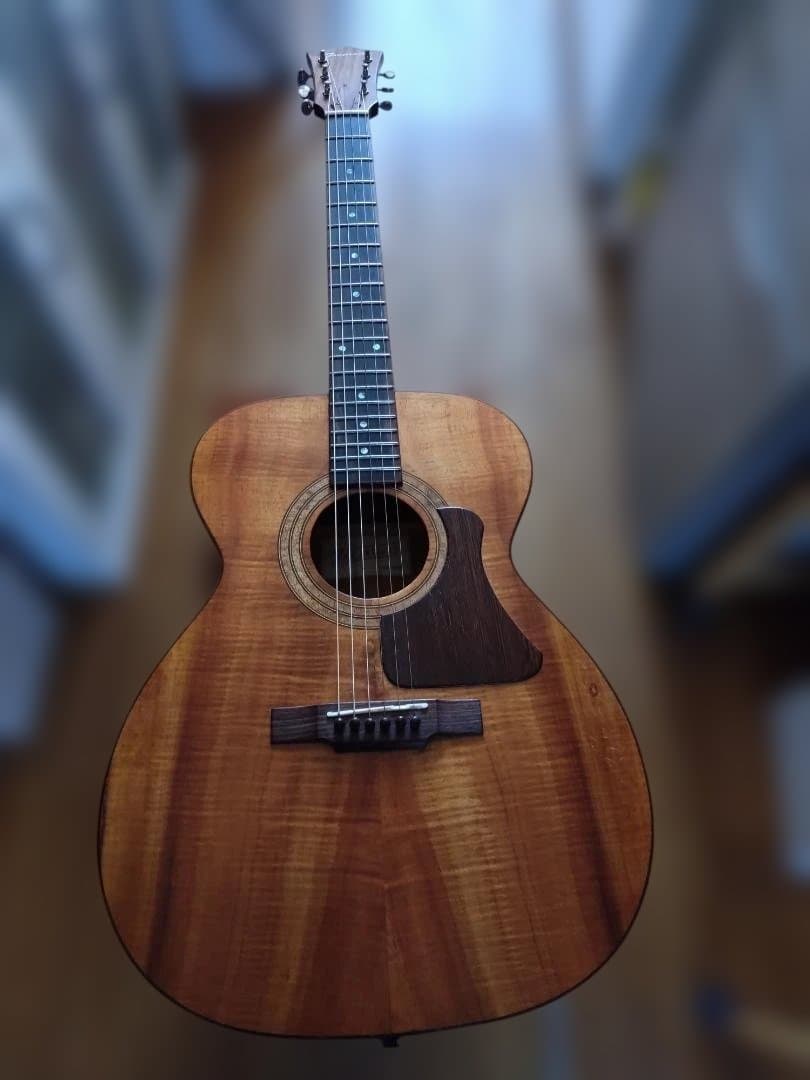 iseman アイスマンギター