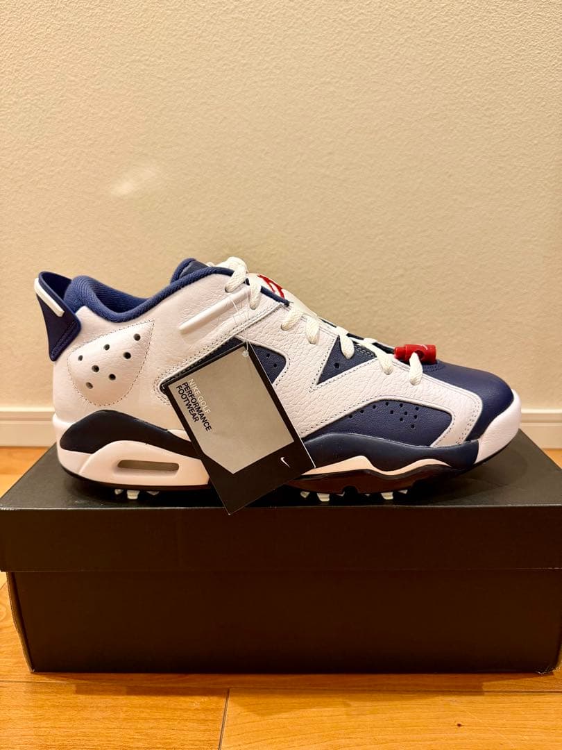 【新品】JORDAN RETRO 6 G 28.5cm