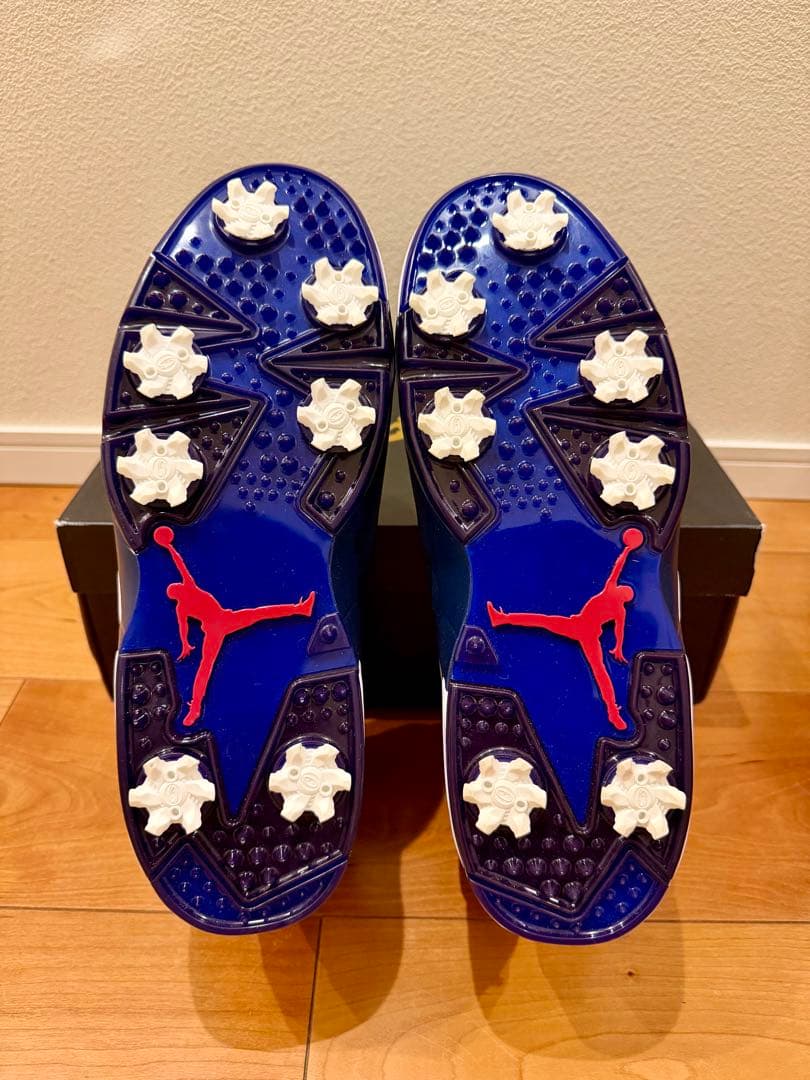 【新品】JORDAN RETRO 6 G 28.5cm
