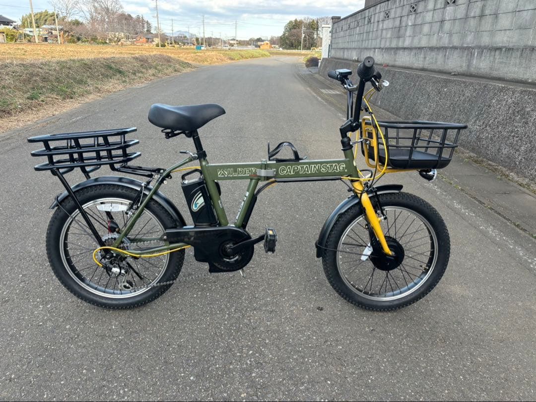 折りたたみ電動アシスト自転車　 PELTECH ペルテック 2023年モデル
