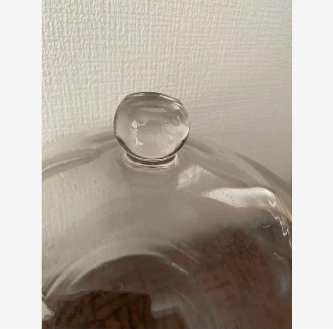 ガラスキャニスター デシケーター ガラス瓶 金魚鉢　水槽　などにも