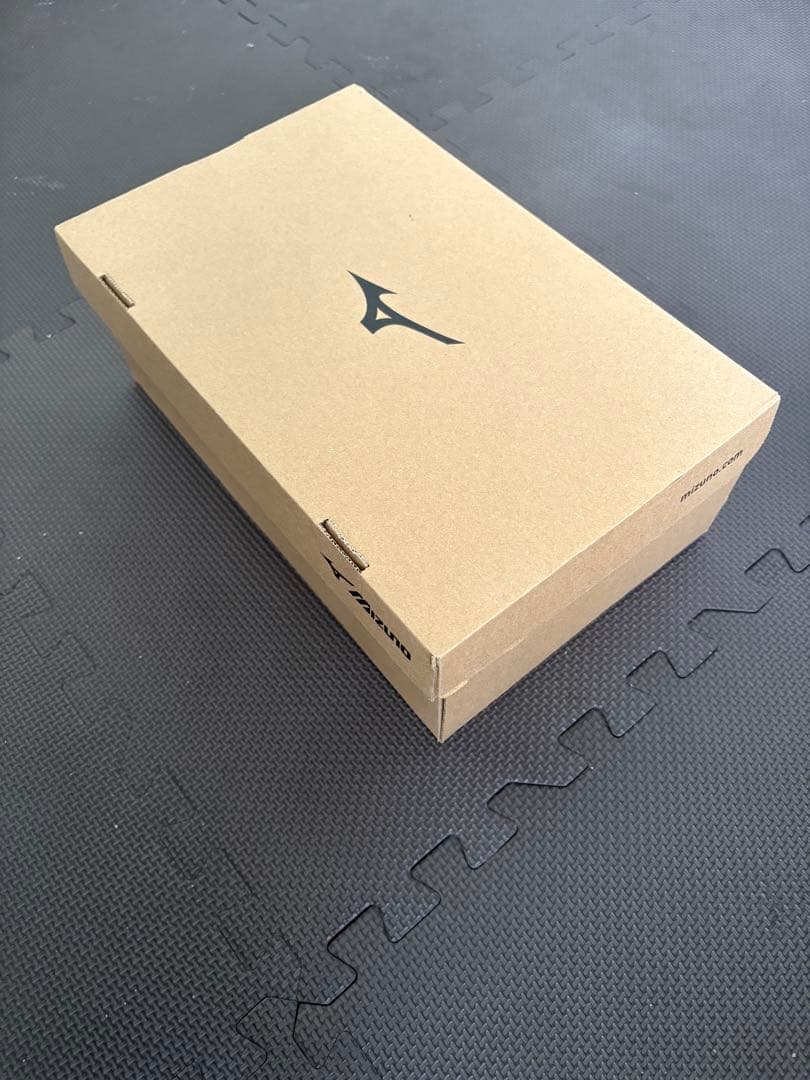 Mizuno モレリア フットサルシューズ