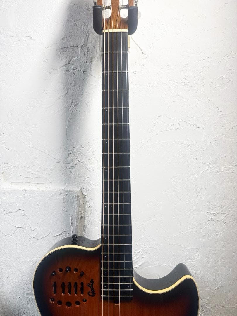 Godin エレアコ 調整済 新品ダダリオ 即戦力 生鳴り抜群