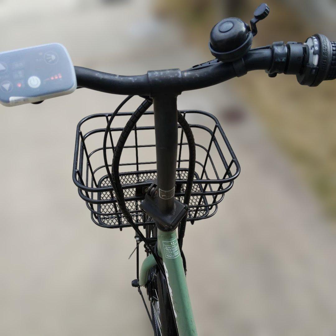 PELTECH ペルテック TDN-212L 折りたたみ電動自転車