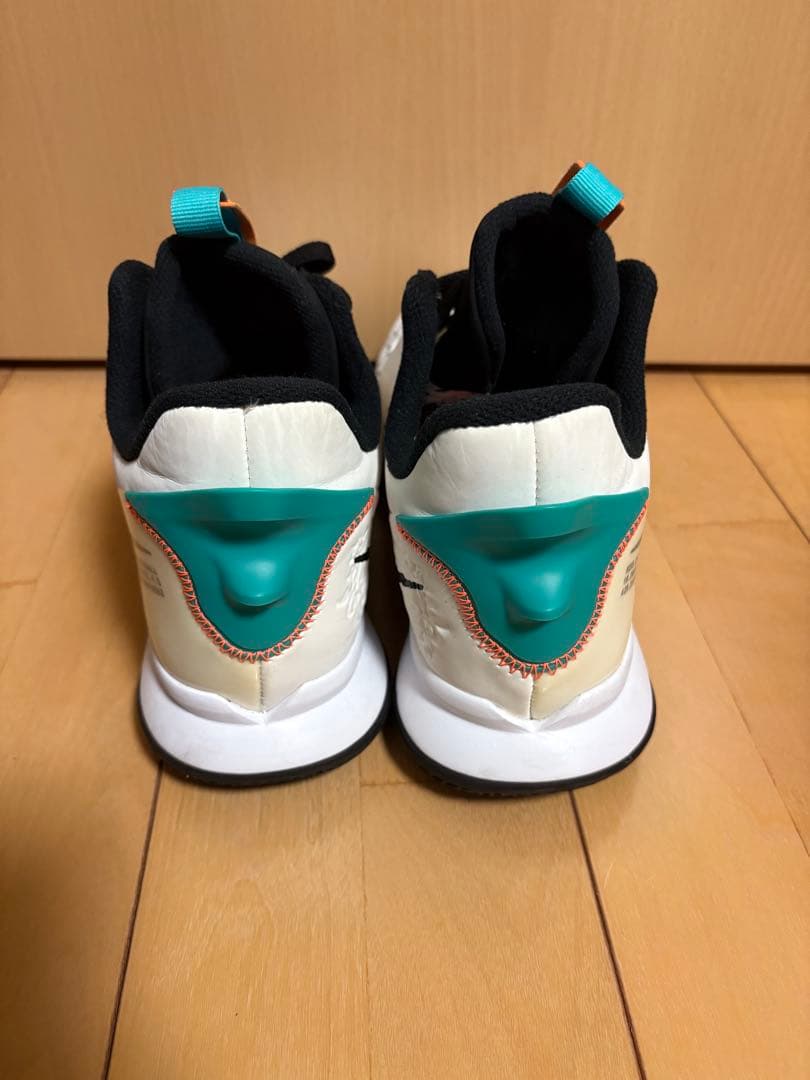 NIKE ナイキLEBRON WITNESS V 29cm バスケットボール