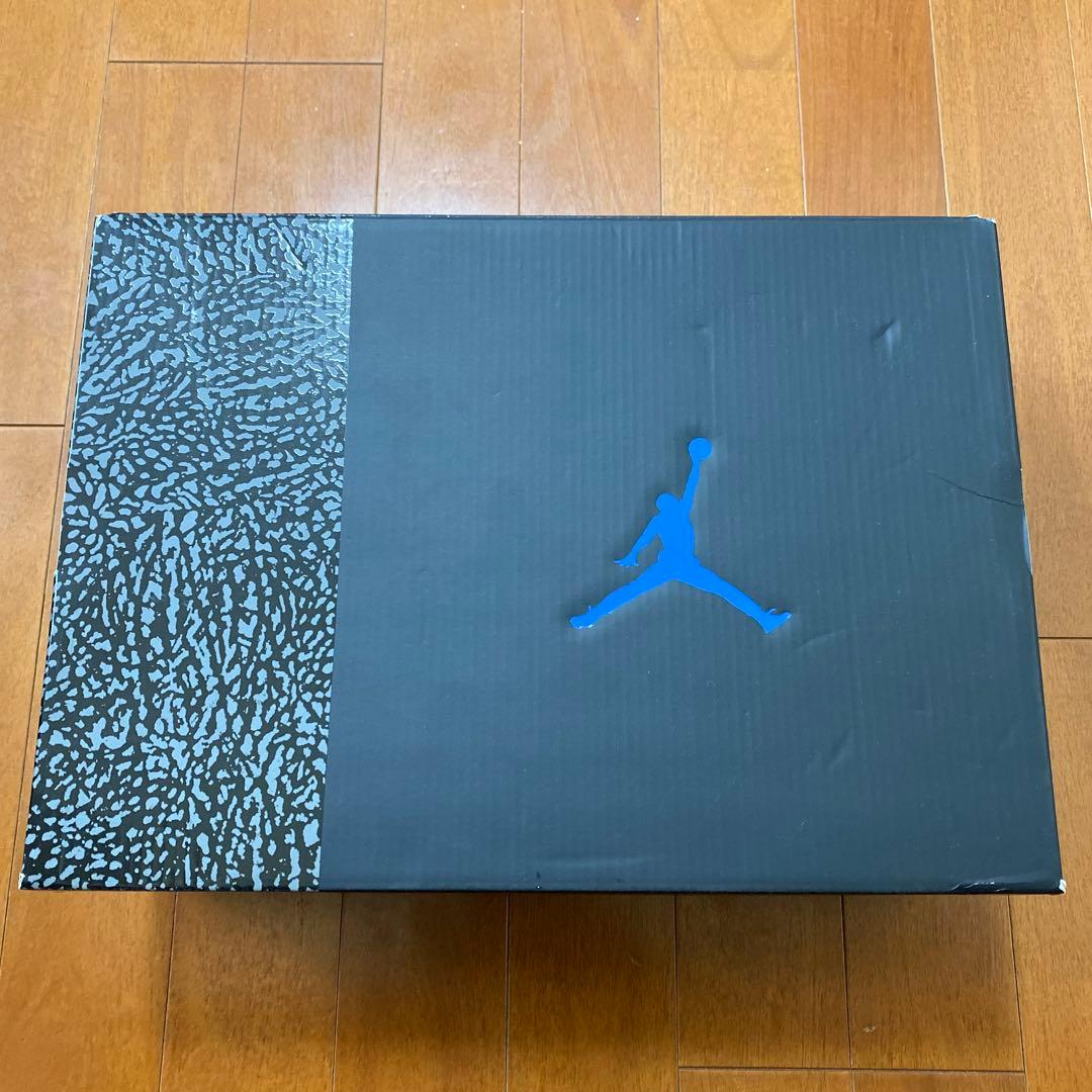 シューズ(男性用) 29cm NIKE AIR JORDAN 3