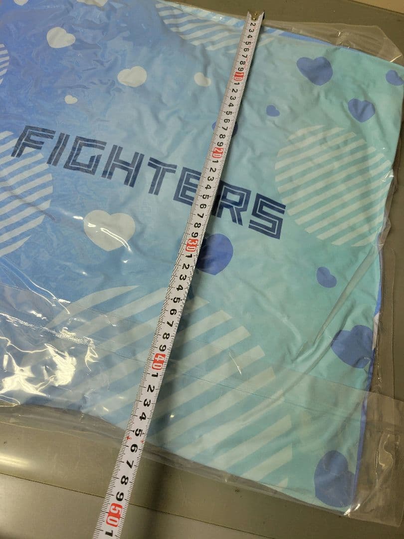FIGHTERS クッション 2個セット