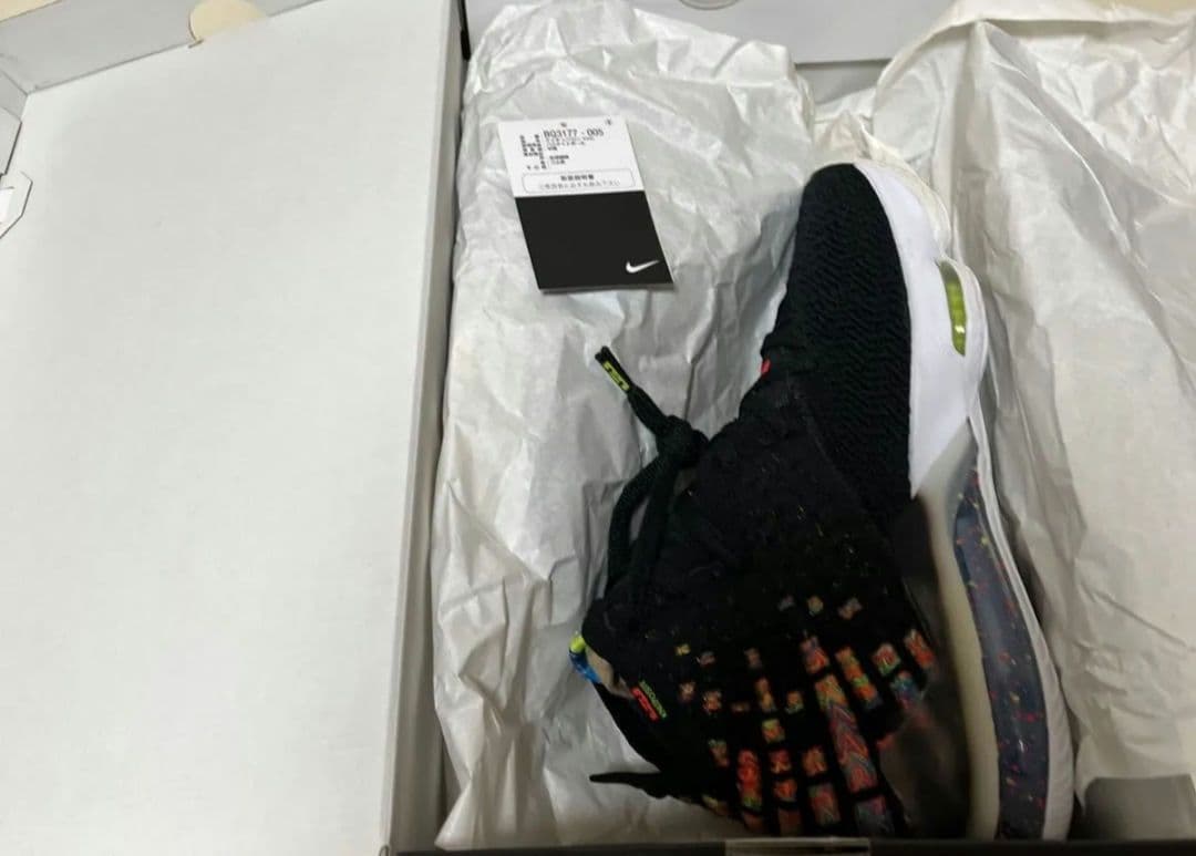 NIKE LeBron 17 JAMES GANG ブラック/マルチカラー