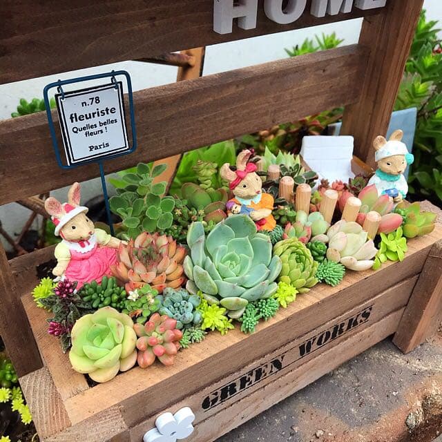 ★多肉植物　寄せ植え〜手作り木製HOUSE うさぎさんのお家寄せ〜★