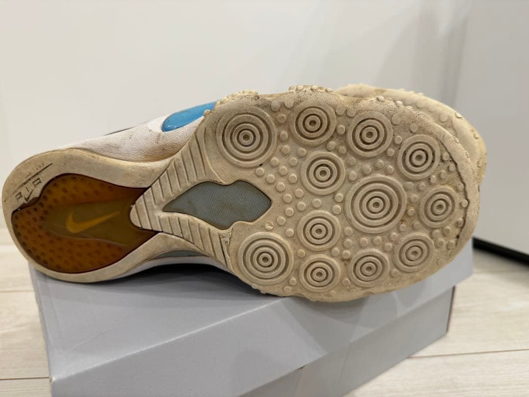 エアズームフライト5 NIKE ID 28cm
