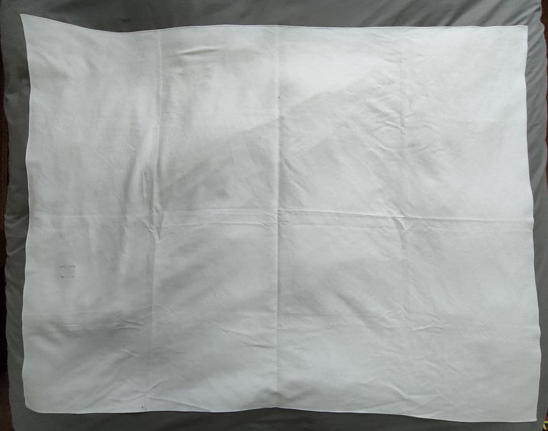 Santa Cruz マイクロファイバー大判バナー約123cm x 98cm ②