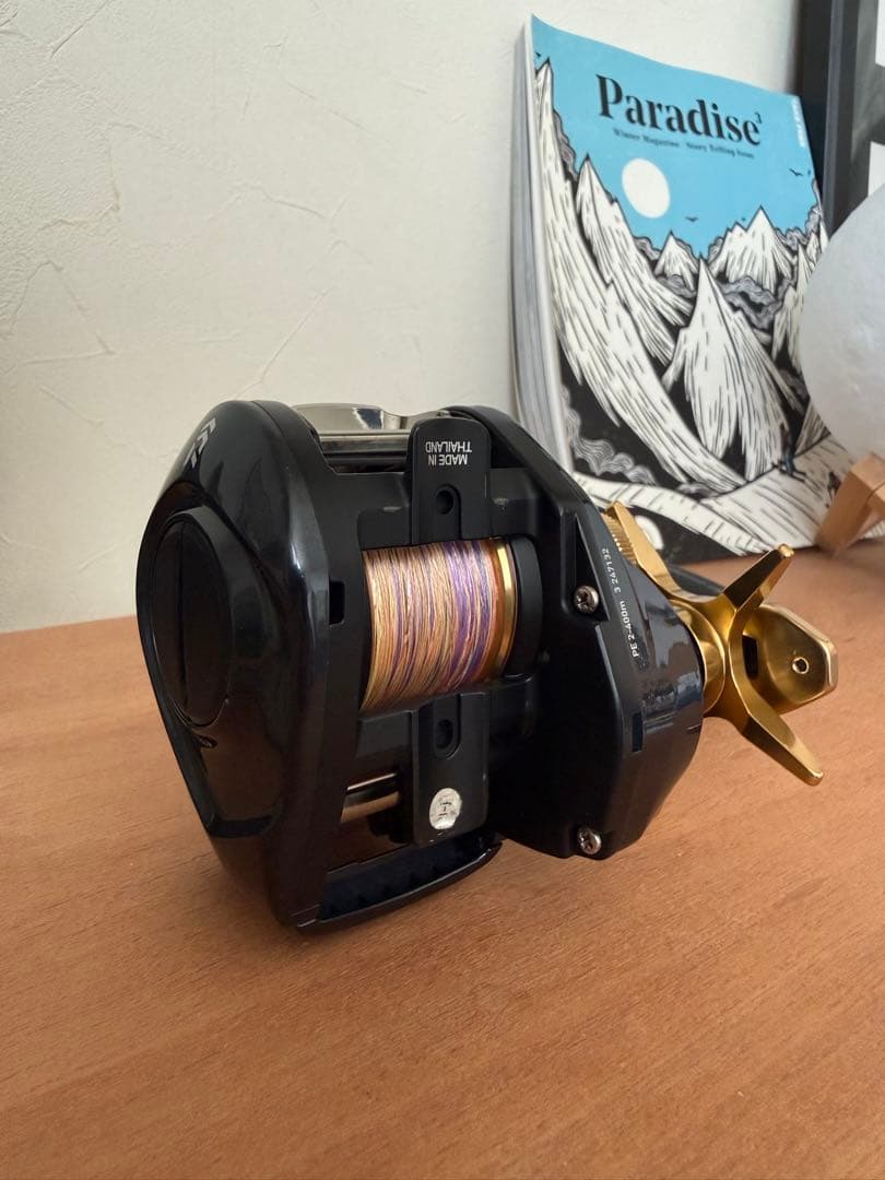 リール Daiwa TIERRA LJ IC300H