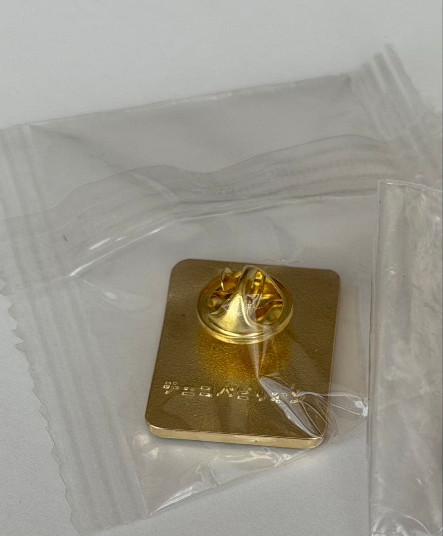 み*ん様 非売品　チェコ館　VIP専用ピンバッジ 万博　Expo2025