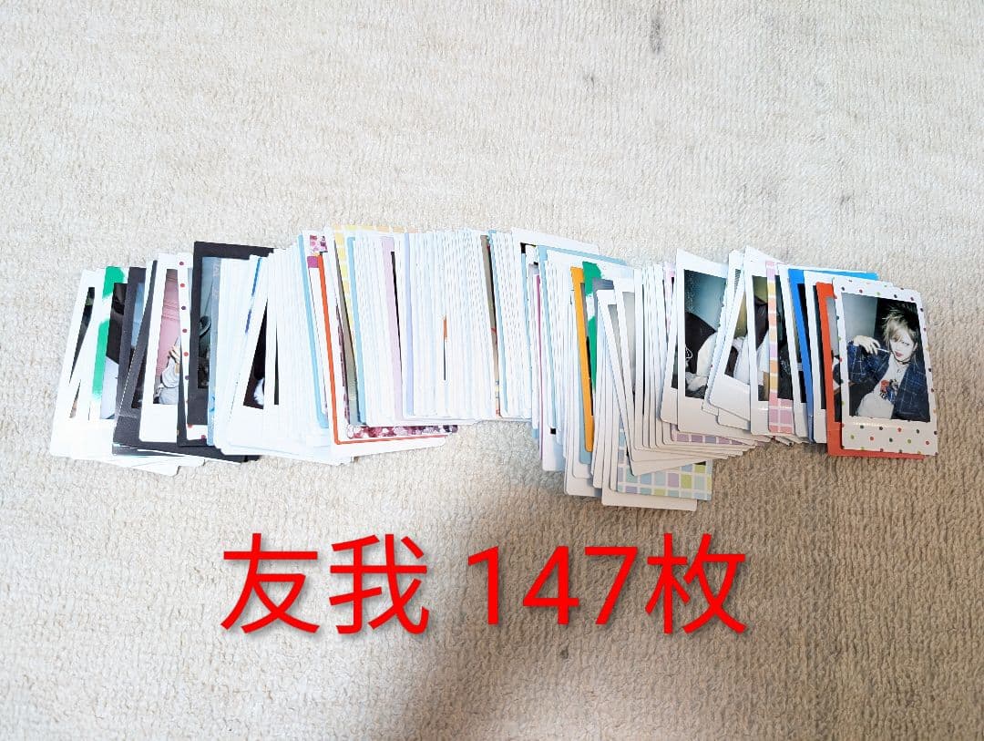 シェルミィ チェキ セット 255枚