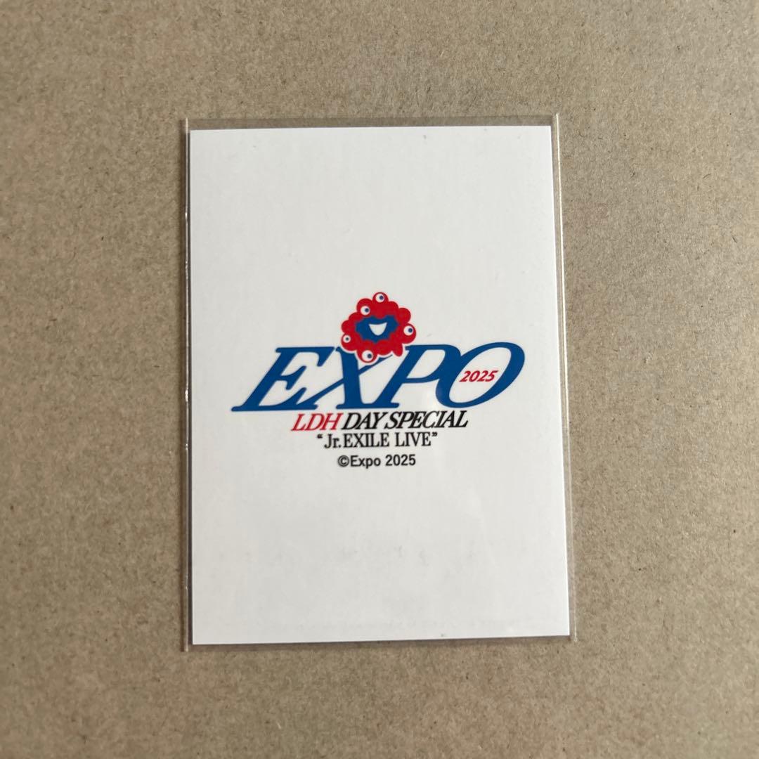 八木勇征 expo シクレ フォトカード